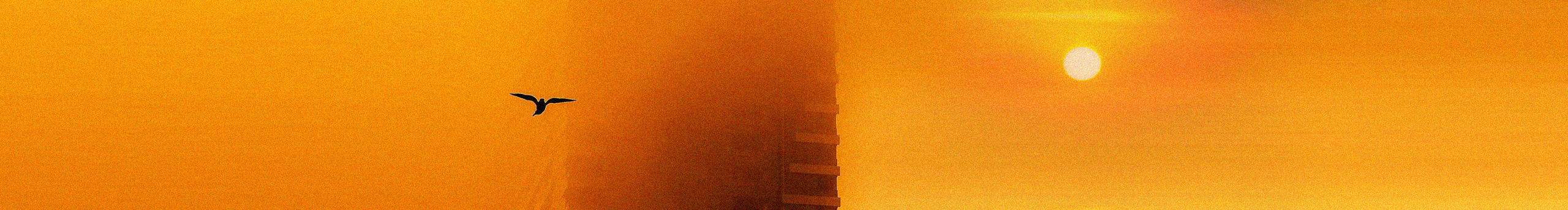 士多俾梨苹果橙or的个人主页（封面预览） - 主页封面设置 - 站酷设计师士多俾梨苹果橙or原创素材 - 站酷ZCOOL