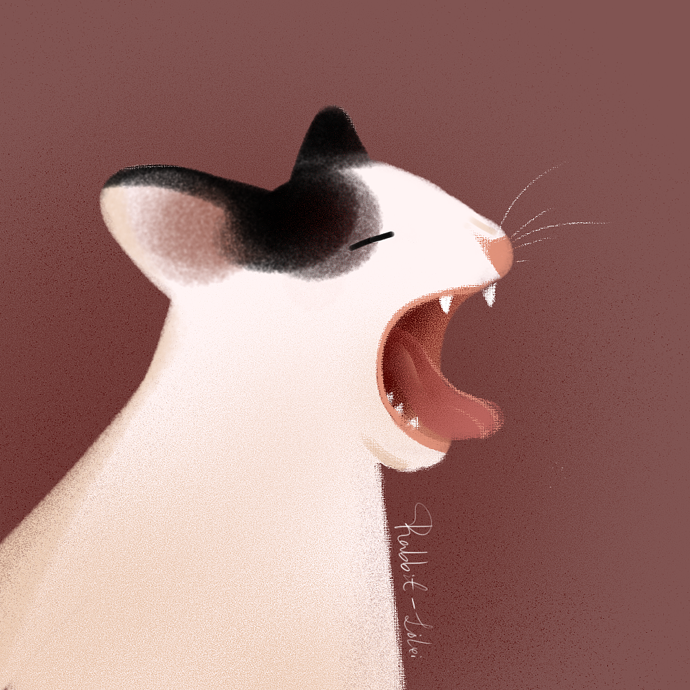 不成套的插画小件