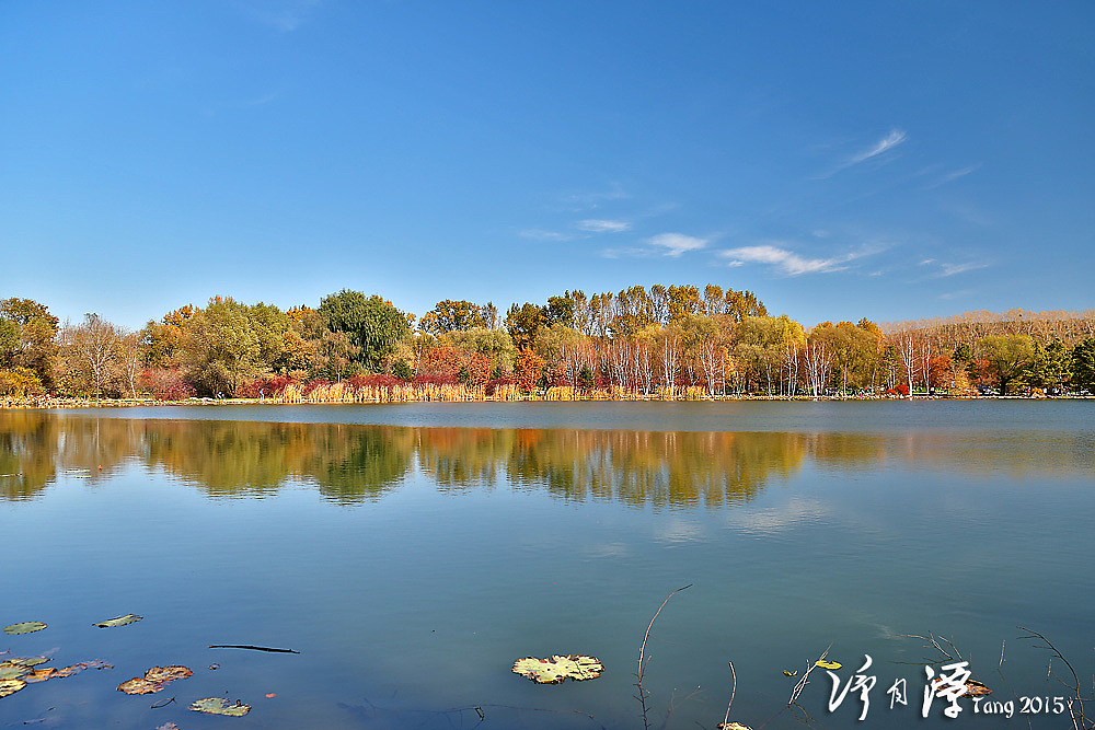 长春净月潭秋游（图ZMzUzNzU3NzY=） - 风光摄影 - 站酷设计师marinetzk原创素材 - 站酷ZCOOL