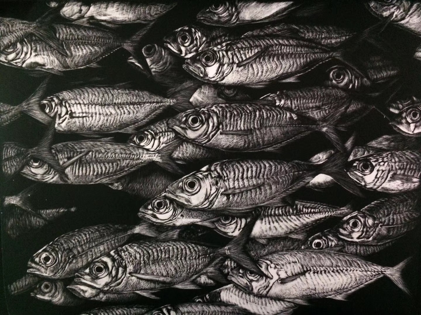 李子哥刮画作品《好多鱼》