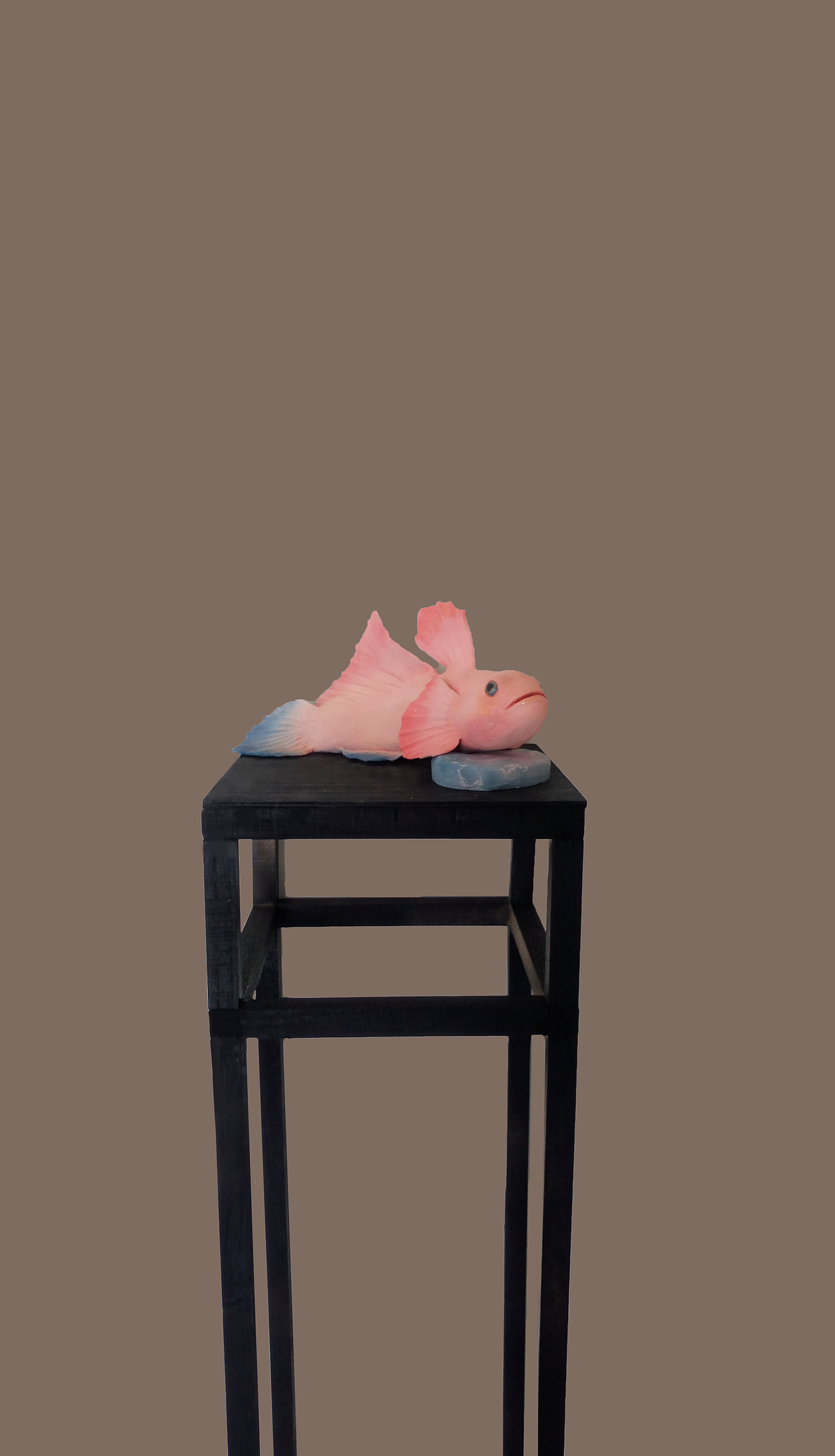 濒危动物baby（图ZMTIwNzMzMTQw） - 其他 - 站酷设计师卡卡果果爱画画原创素材 - 站酷ZCOOL