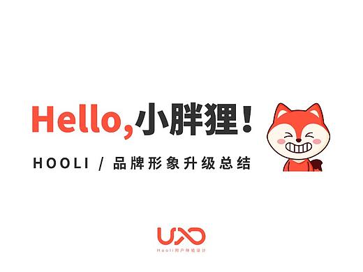 Hello，小胖狸！HOOLI品牌形象升级总结