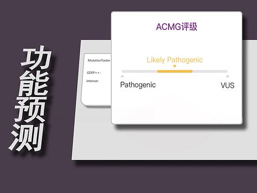遗传病基因AI人工智能检测系统宣传片
