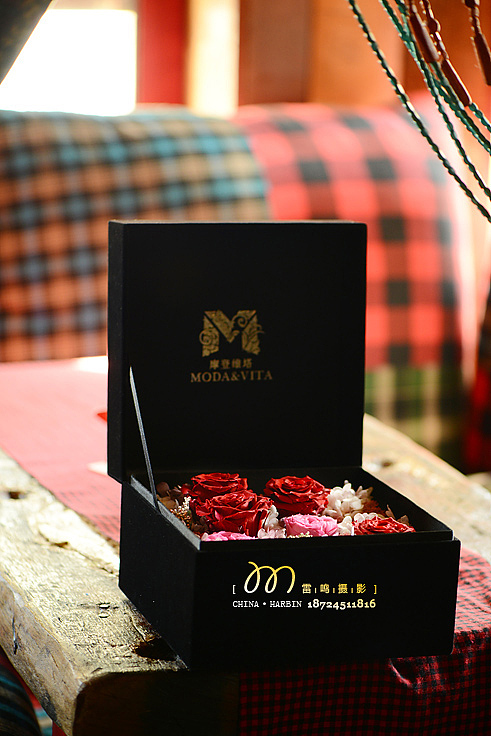 我们一起玩摄影,哈尔滨雷鸣摄影,2014年度作品