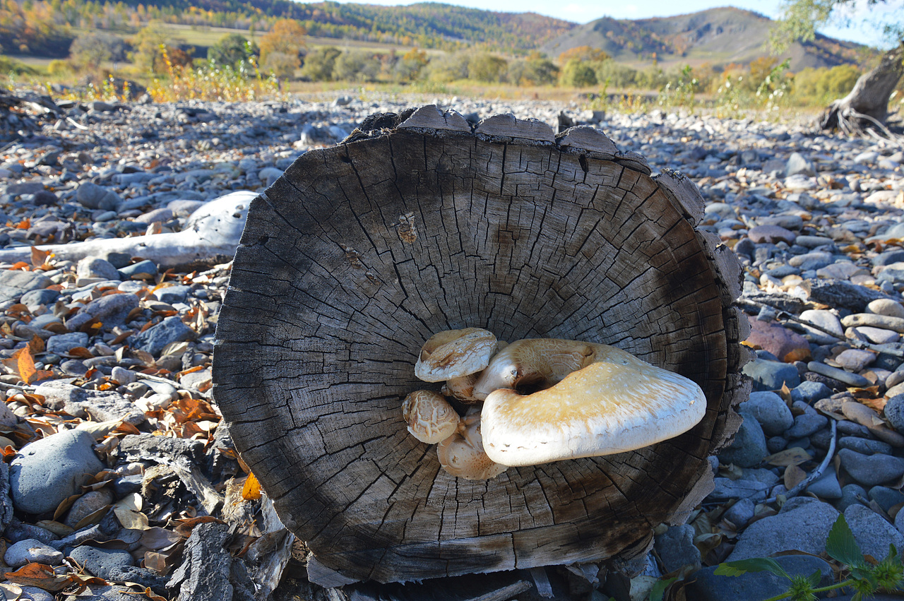 内蒙古2017.9（图ZMTE5Nzg2NzA0） - 风光摄影 - 站酷设计师keke奇遇记原创素材 - 站酷ZCOOL