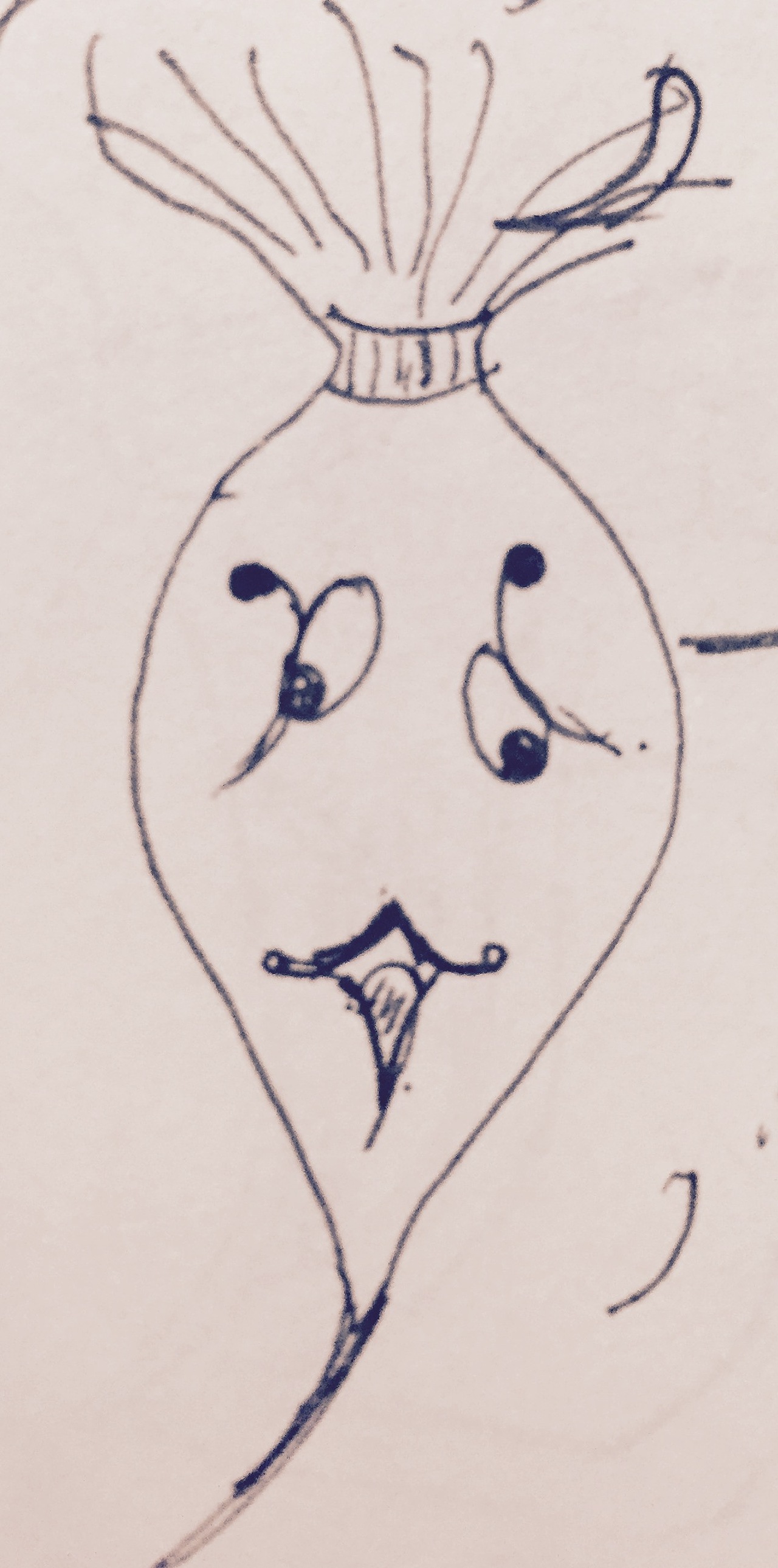 " , "的故事