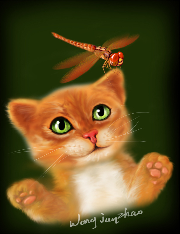 猫猫与蜻蜓