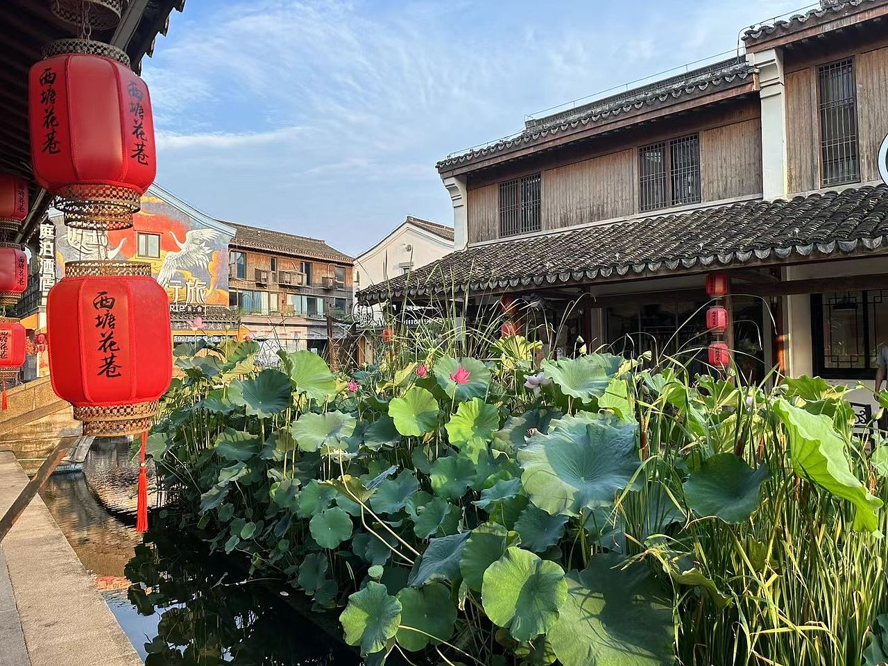 西塘的傍晚与清晨🍀