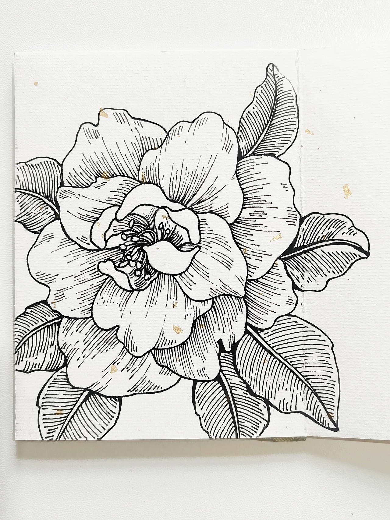 线描花卉，花园里面有什么？（图ZMzczNTM5NjIw） - 绘画 - 站酷设计师会画画的云原创素材 - 站酷ZCOOL