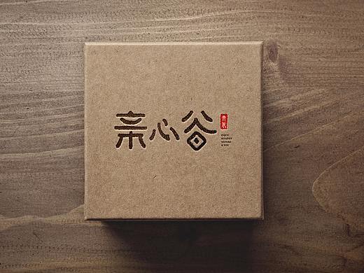 亲心谷文化度假项目