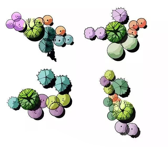 景观设计考研快题手绘/平面图手绘/植物配置组合形式