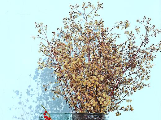 可爱的花瓶们
