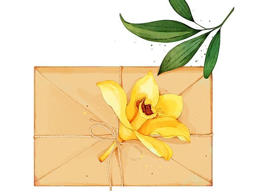 鱼兮手绘ps水彩花卉信封里的花