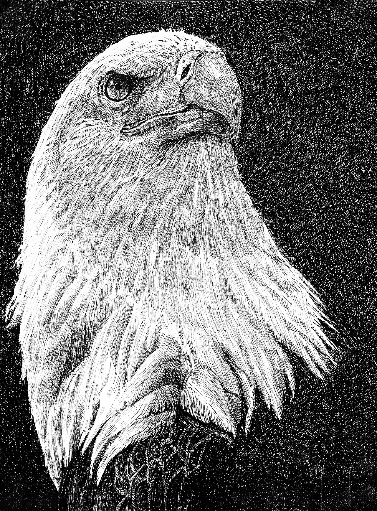 TT-钢笔画（图ZMTk1MTg5NzI=） - 绘画 - 站酷设计师six_5原创素材 - 站酷ZCOOL