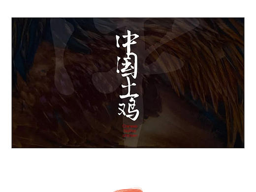 我用一张图片,制作了一套PPT。