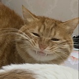 小明MMMM的头像