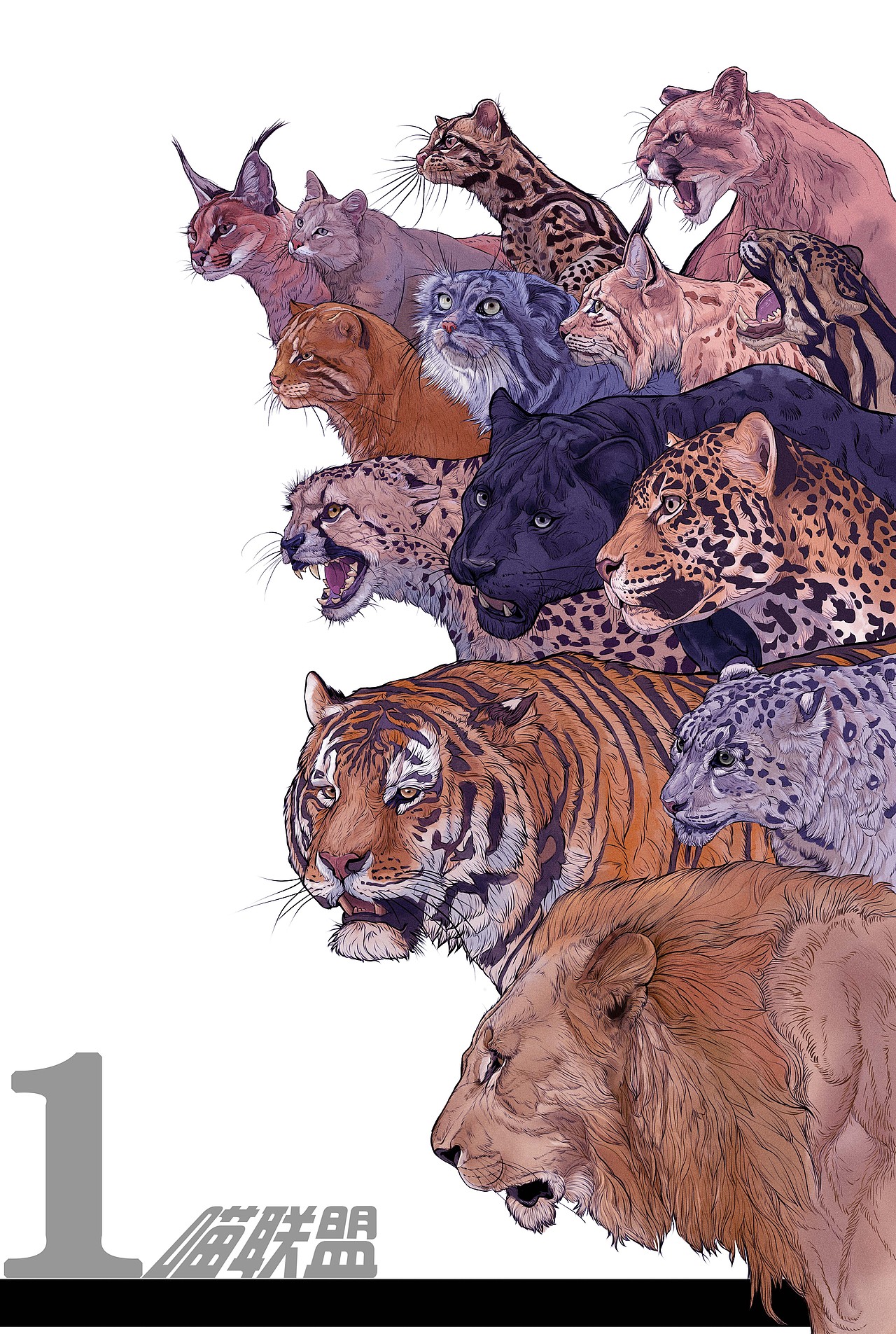 动物插画《喵联盟》完结
