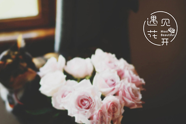 近期汇总（图ZMzc5ODI0Njg=） - Logo - 站酷设计师辛未设计原创素材 - 站酷ZCOOL