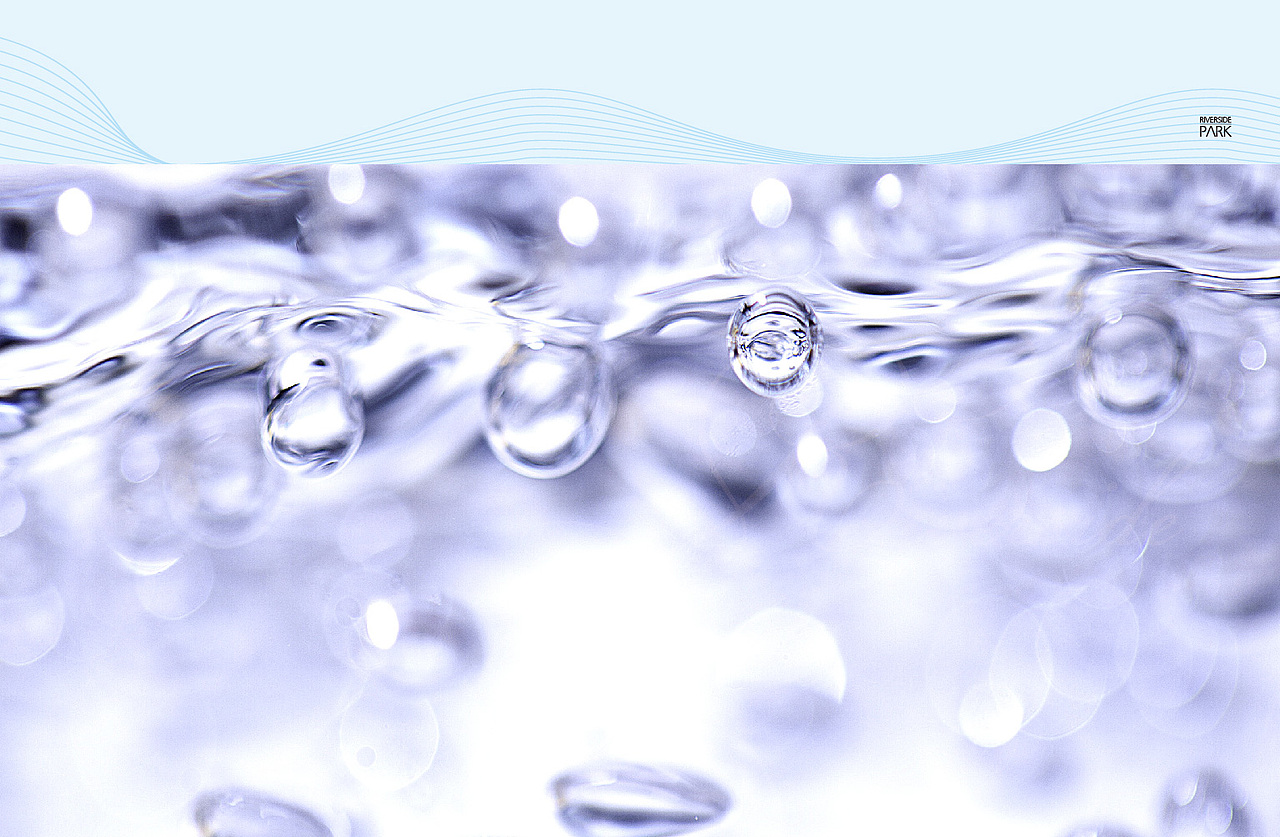 新湖长江公园 | ShowCase