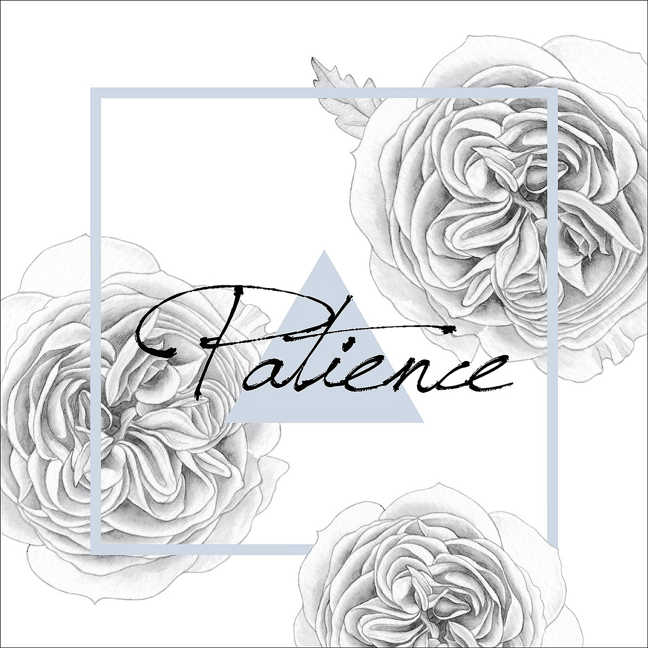 手绘植物篇(黑白花卉)