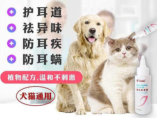 宠物用品主图+详情页-个人练习