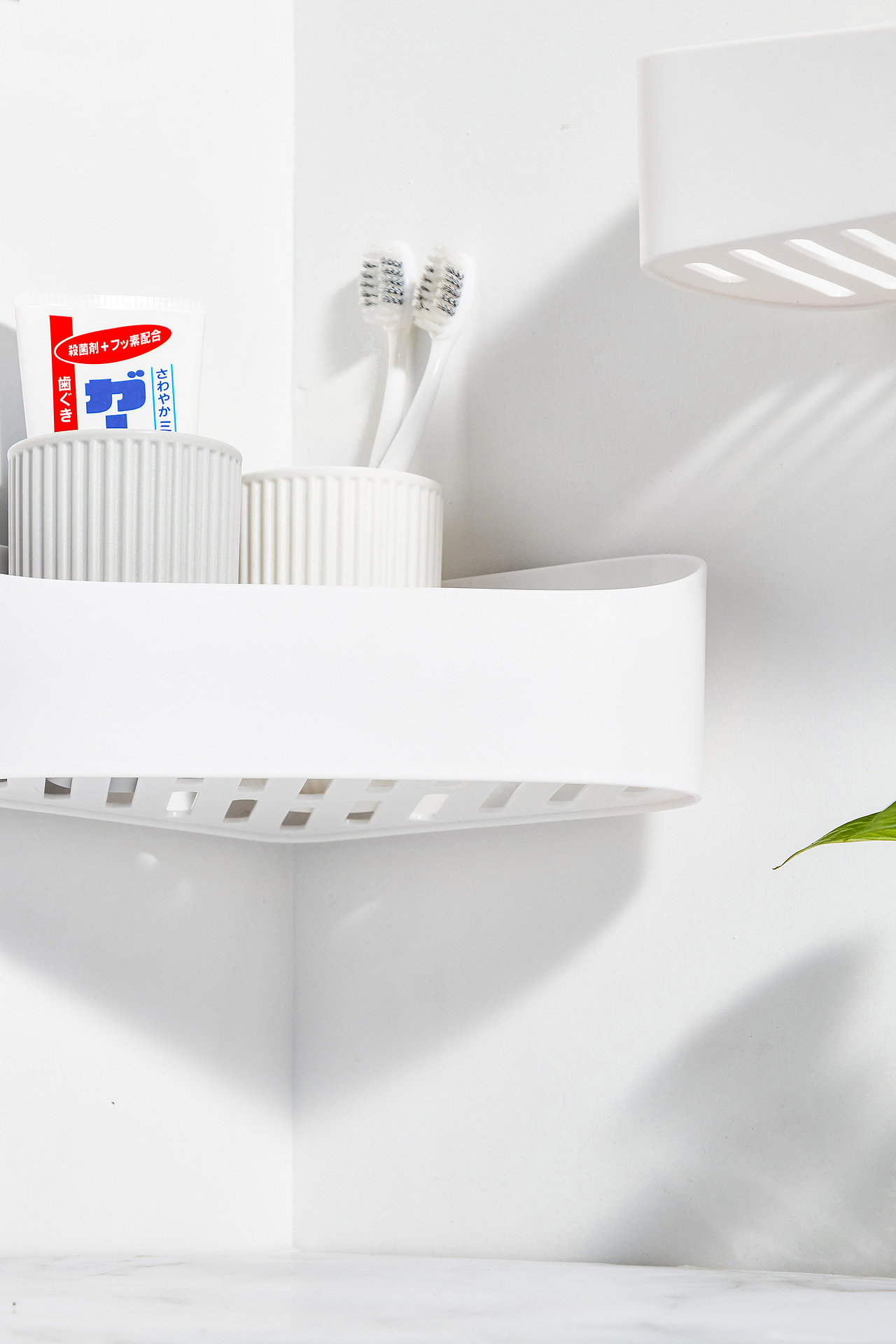 浴室收纳盒拍摄