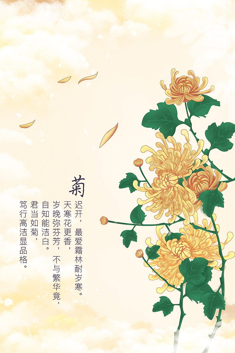 菊,迟开,最爱霜林耐岁寒。天寒花更香,岁晚弥芬芳,不与繁华竟,自知能洁白。君当如菊,笃行高洁显品格。