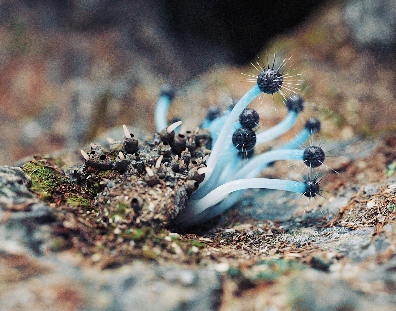 C4D Daily Render series 04