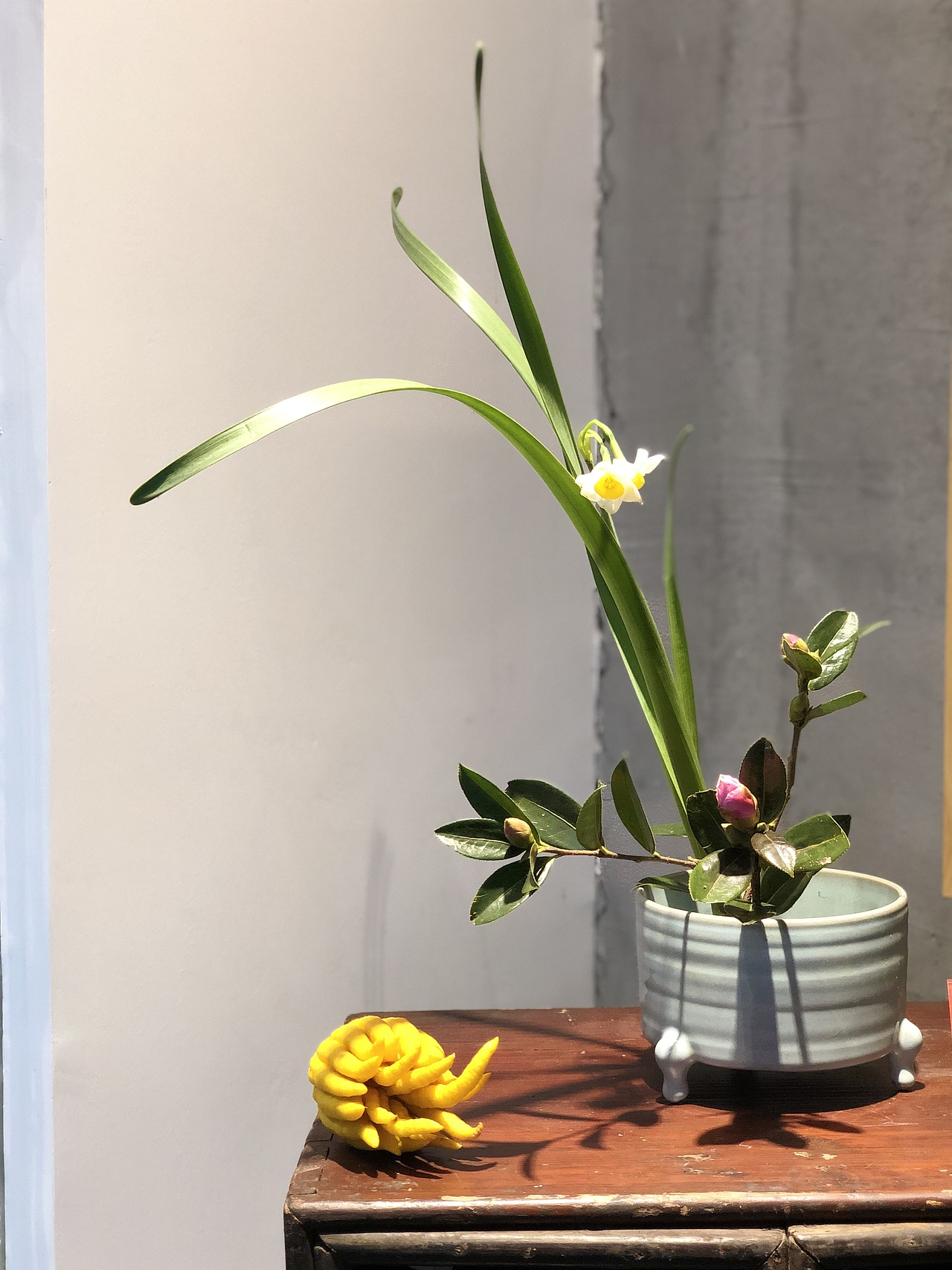 拾居•岁末花展（图ZMTkzOTYyNTEy） - 家装设计 - 站酷设计师拾居原创素材 - 站酷ZCOOL