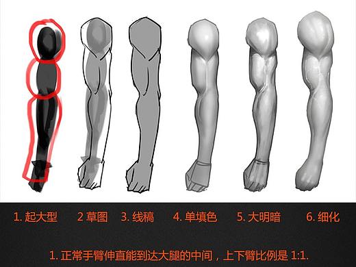 人体基础丨手臂丨教你画人体丨PS板绘 