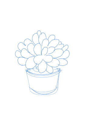 【毅笔一画】多肉PS技法篇