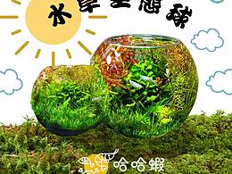 尋求長期合作的設計和插畫師，為我的水族店做品牌設計