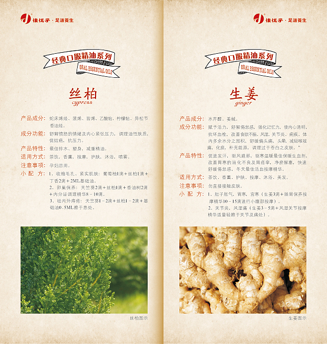 养生小册子 画册 中国风 产品说明 产品手册 古典画册