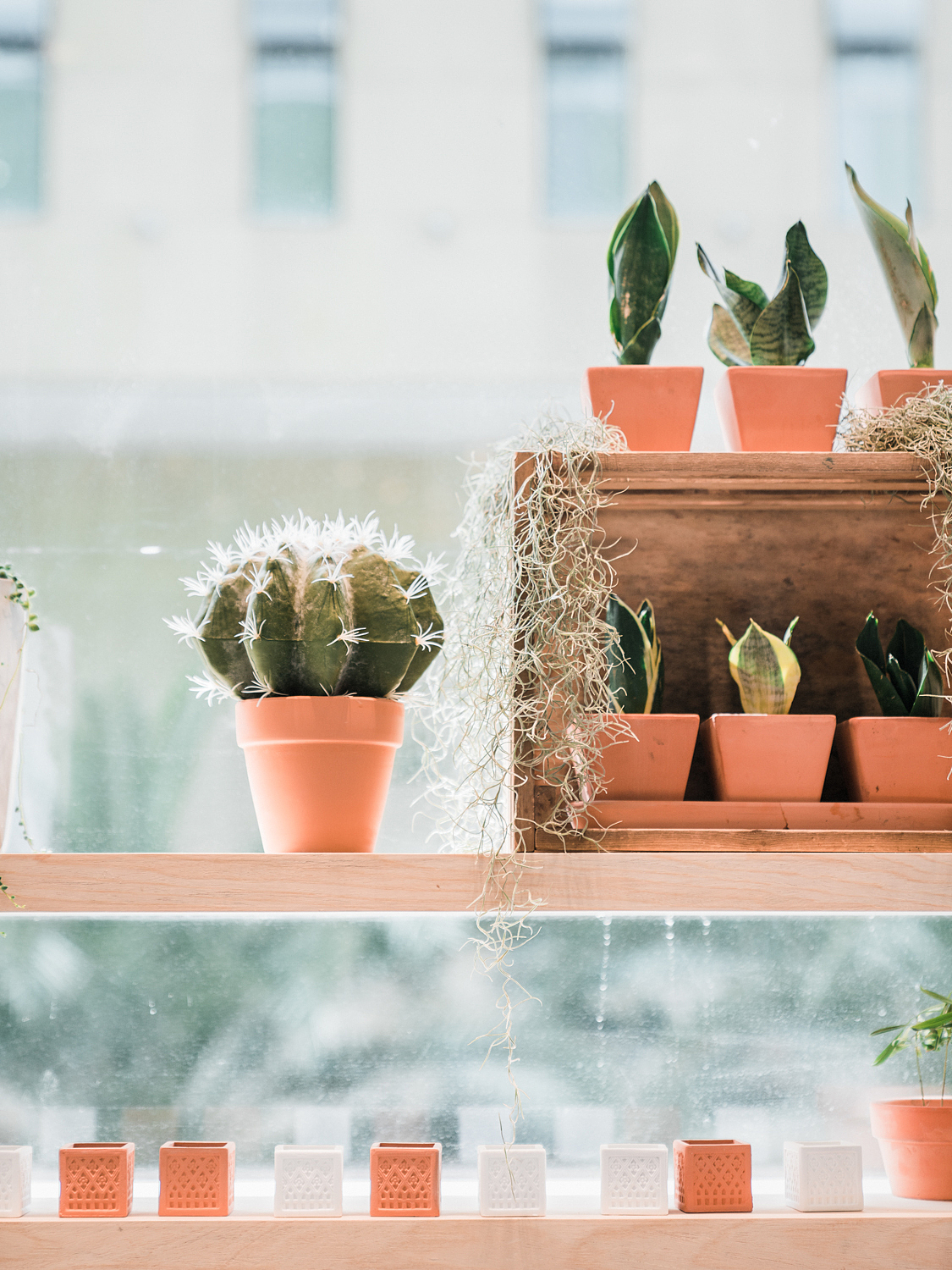 季意设计 | 商业 | 一家和蚂蚁c空间共生的咖啡店