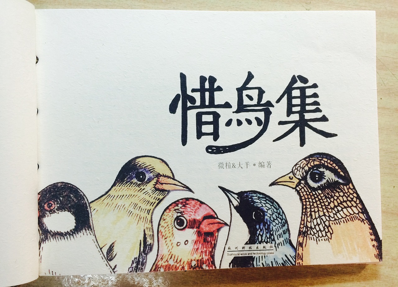 《惜鸟集》书籍设计（图ZMzczMzY4NzY=） - 书籍/画册 - 站酷设计师JANICEYANG原创素材 - 站酷ZCOOL