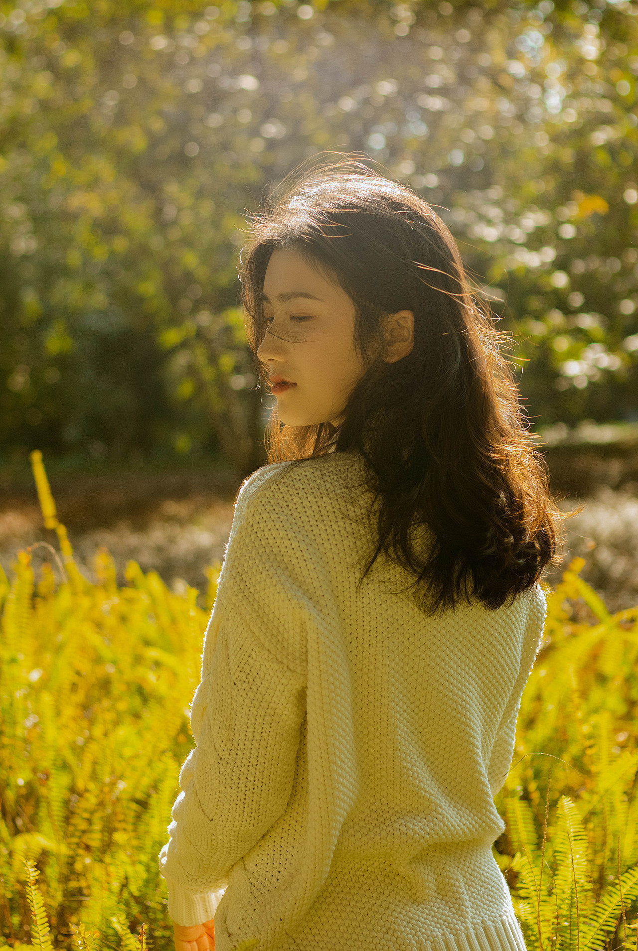 我在名为秋天的路上遇见你