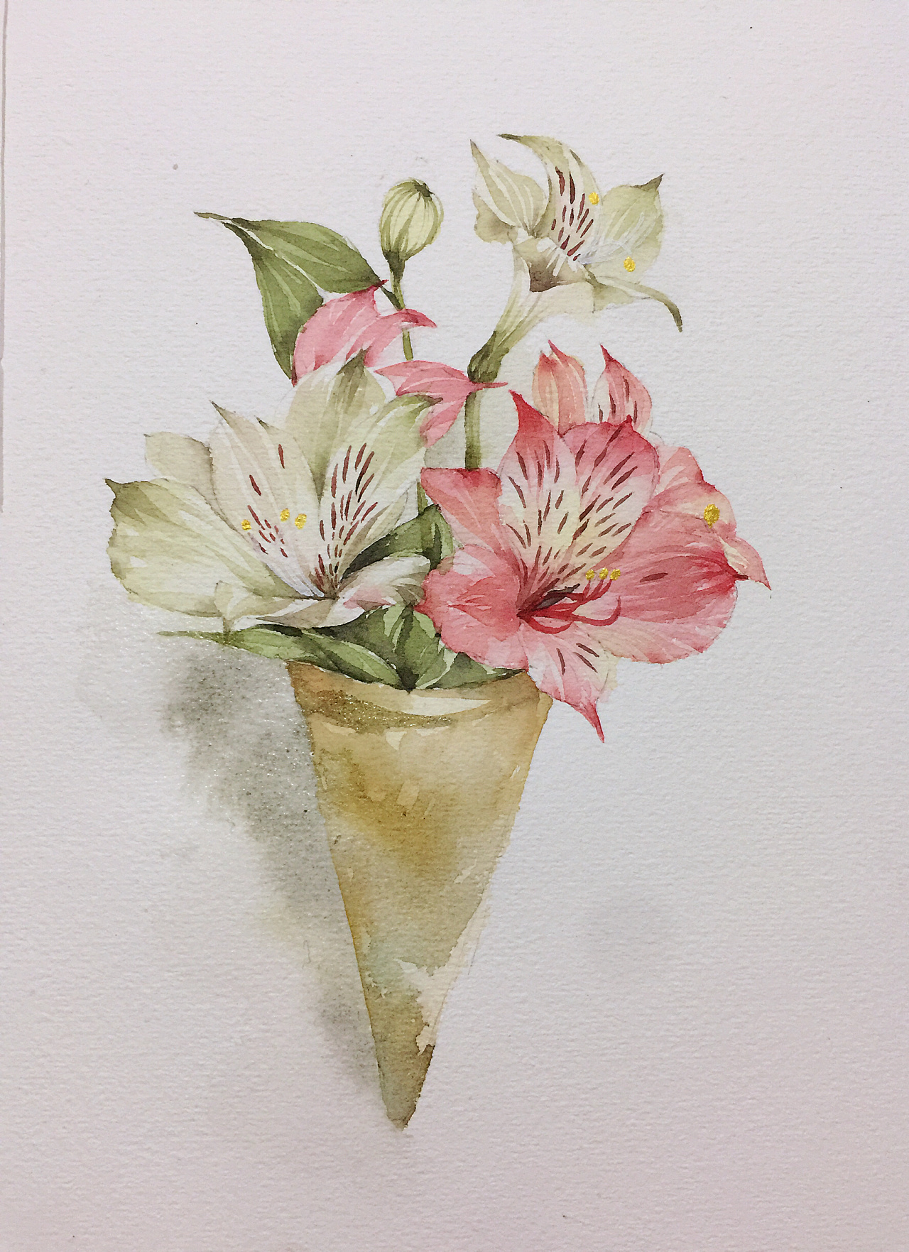 花卉水彩|插画|创作习作|小雨0114 - 原创作品 - 站酷 (zcool)