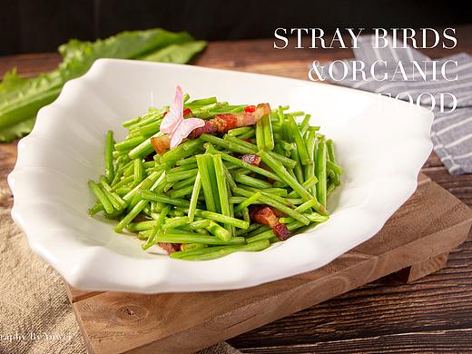 中餐/湘菜/美食拍摄