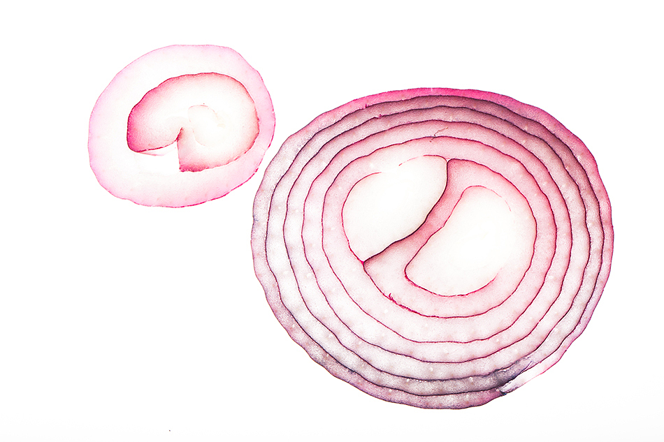 静物摄影:写意洋葱