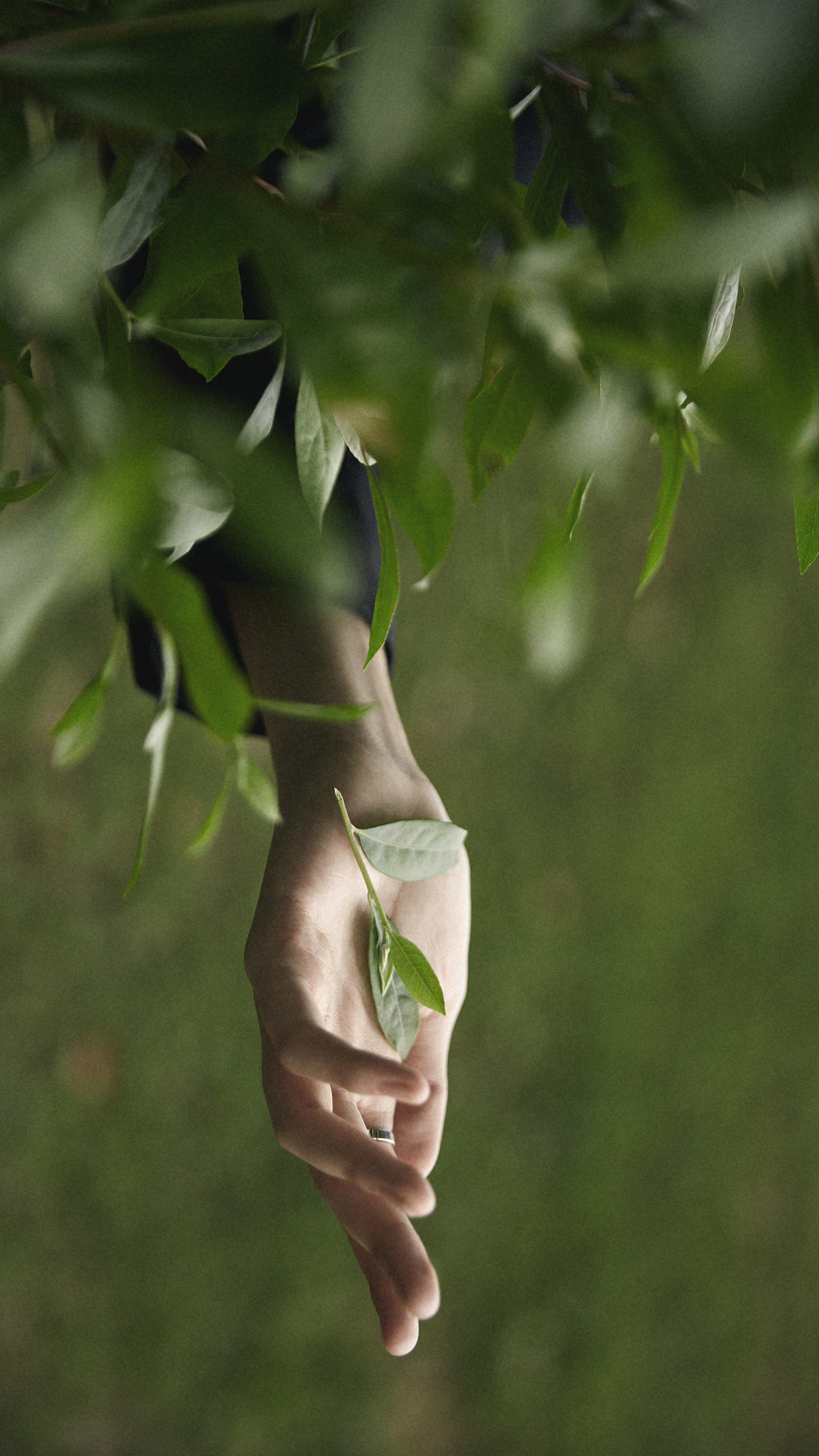 她与狗（图ZMjczNjM1NjA4） - 人像摄影 - 站酷设计师赵启航原创素材 - 站酷ZCOOL