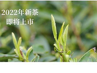 京东无线端首页