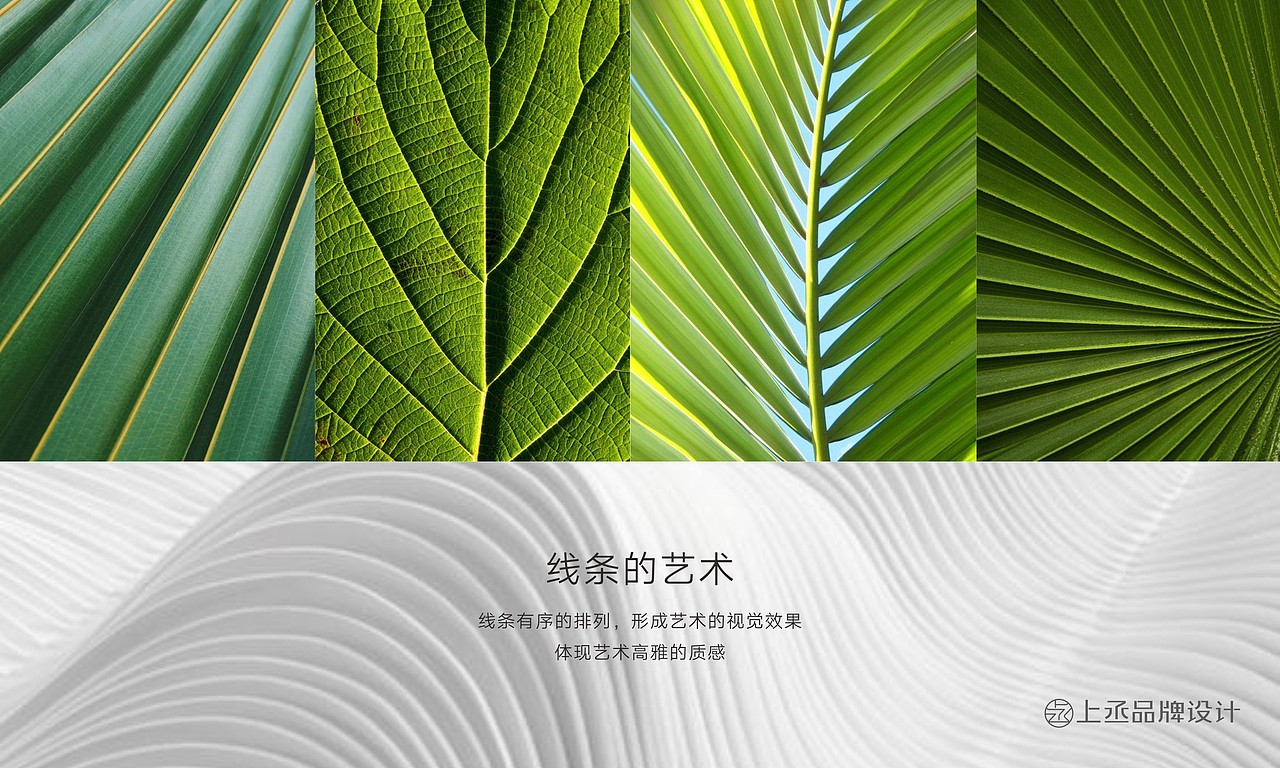 广州森艺术教育品牌设计（图ZMTcxNTM5MTky） - 品牌 - 站酷设计师上丞品牌设计原创素材 - 站酷ZCOOL