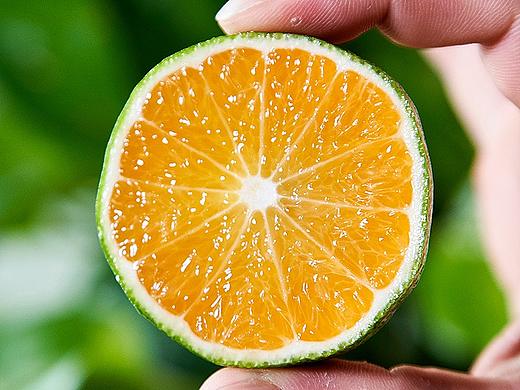 蜜橘部分样片拍摄 | 九零微文化