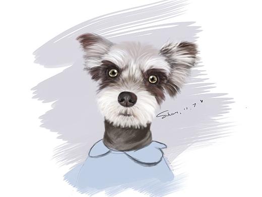 手绘雪纳瑞（个人主页-ZMzEyMTU5MjQ=） - 艺术插画 - 站酷设计师珊珊珊珊来迟原创素材 - 站酷ZCOOL
