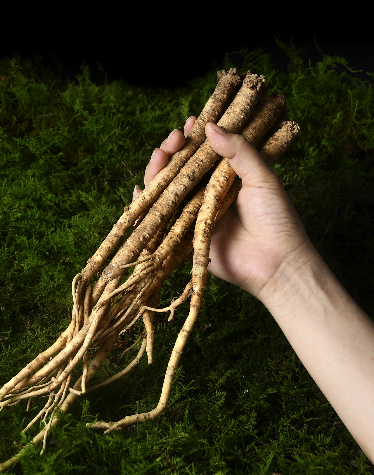 新鲜党参拍摄和详情页设计（图ZMTkzNDU1MzY0） - 产品摄影 - 站酷设计师Z34361204原创素材 - 站酷ZCOOL