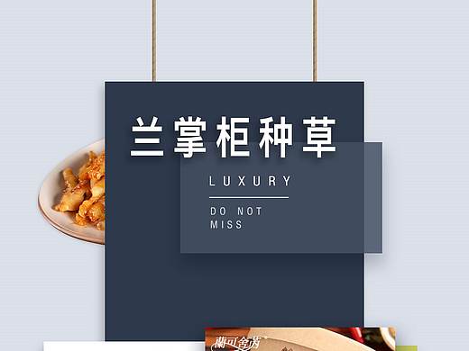 兰掌柜种草（个人主页-ZNDY1OTI1NTI=） - 电商 - 站酷设计师庄鹏原创素材 - 站酷ZCOOL