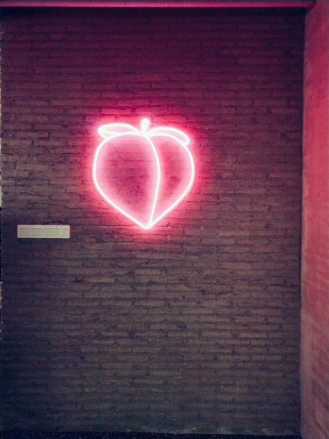 Maxfit运动健身品牌VI及空间延伸