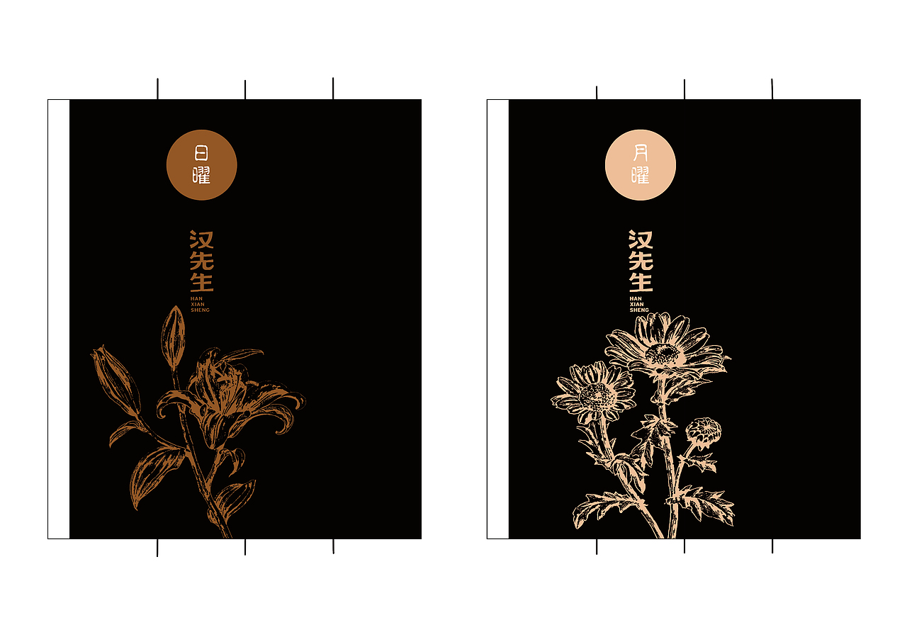汉先生茶叶包装