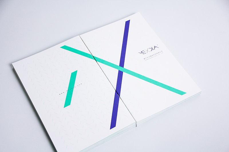 MEXDIA公司宣传册