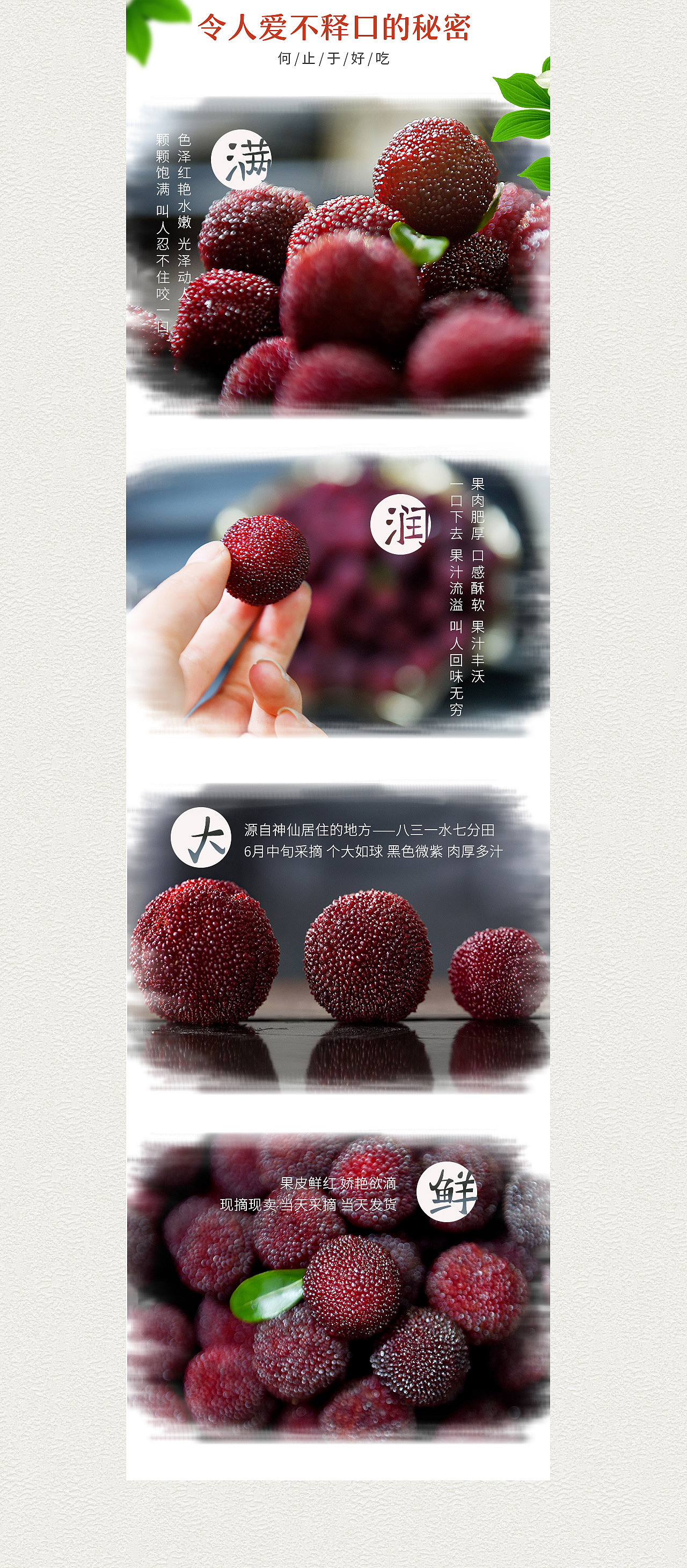 仙居杨梅水果专题 DESIGN（图ZMTExNTkyNDcy） - 电商 - 站酷设计师ZEVeNe原创素材 - 站酷ZCOOL